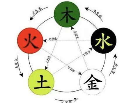 珀五行|珀字的五行属性